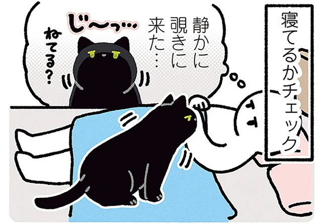 寝てるかな？目覚めた直後の行動が完全一致した黒猫と飼い主／黒猫ろんと暮らしたら4（14）