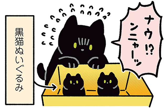 子猫!?大丈夫かー!?箱の中のぬいぐるみに必死で声をかける黒猫／黒猫ろんと暮らしたら4（15）
