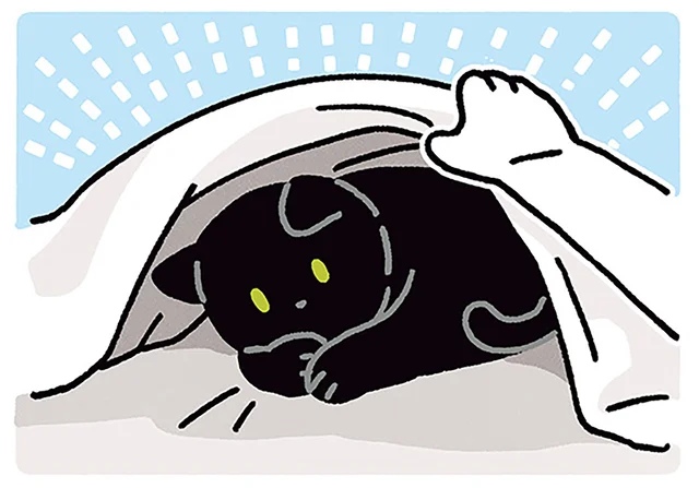 布団、あたためときました。黒猫を探す飼い主へのうれしいサプライズ／黒猫ろんと暮らしたら4（16）