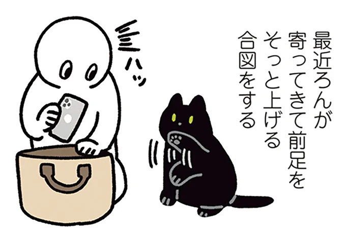 合図をする猫