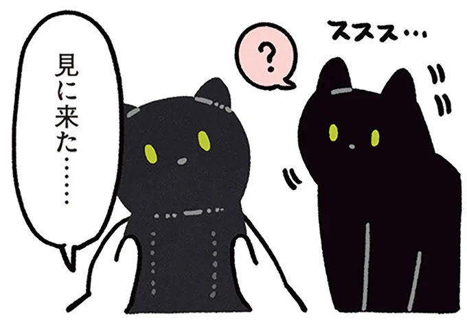 見に来た……