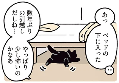 あっベッドの下に入った