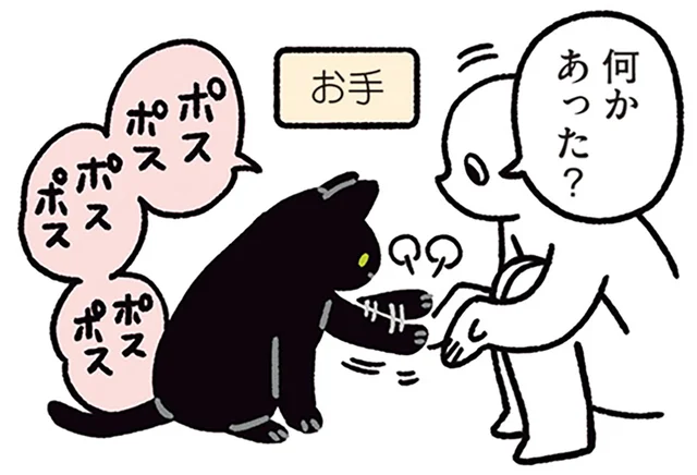 大ジャンプ、お手、体重測定まで!?黒猫が連続披露した得意技／黒猫ろんと暮らしたら5（5）
