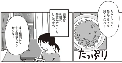 最近ご飯減らないね
