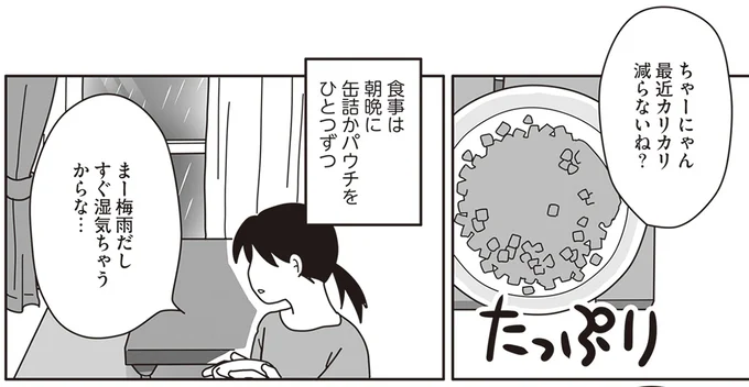 最近ご飯減らないね