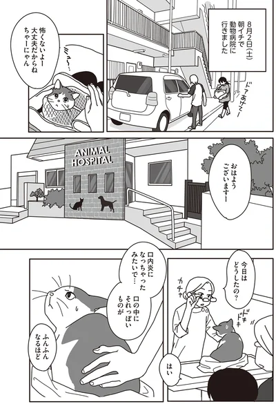 口内炎になっちゃったみたいで…