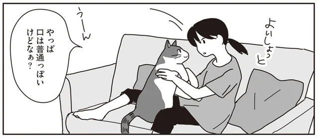 猫の口内に見えた大きなデキモノ。だからエサが食べられなかったの？／世界一幸せな飼い主にしてくれた猫（6）