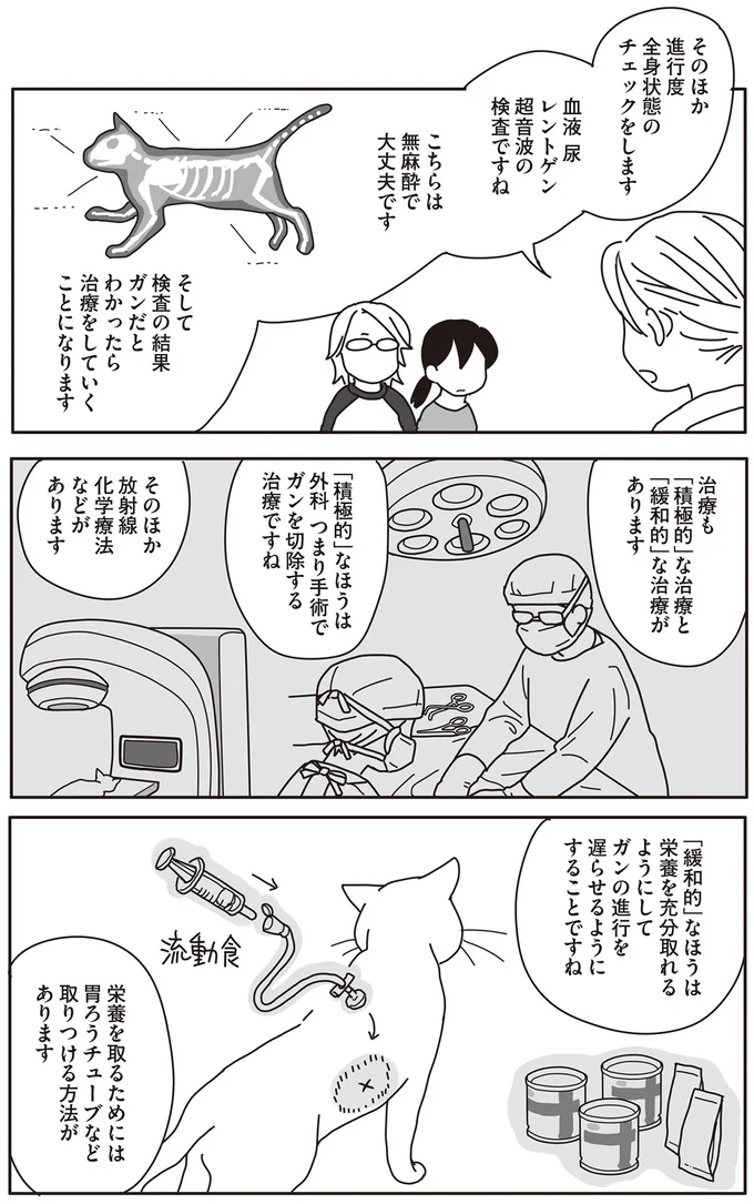 治療も「積極的」な治療と「緩和的」な治療があります