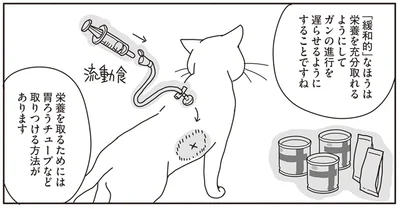 ガン治療の内容とは…