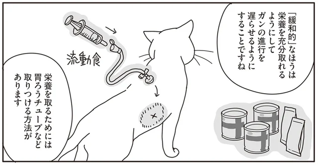 全身麻酔に下あごの切除。飼い猫のガン治療はあまりに過酷なものだった／世界一幸せな飼い主にしてくれた猫（9）