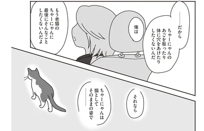 猫としてそのままの姿で