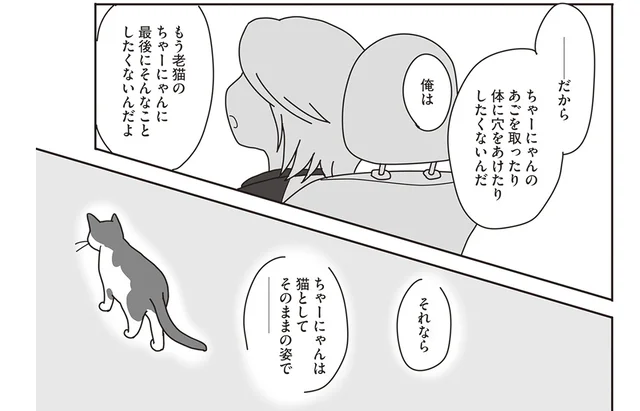 「猫としてそのままの姿で」飼い猫のガン治療、どこまでやるのが正解なの？／世界一幸せな飼い主にしてくれた猫（10）