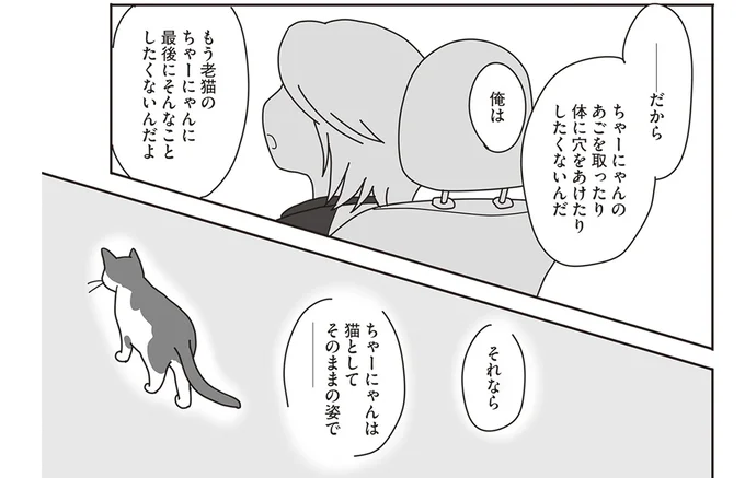 猫としてそのままの姿で