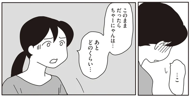 ガン治療への苦渋の決断。手術をしない場合の愛猫の余命は何ヶ月？／世界一幸せな飼い主にしてくれた猫（11）