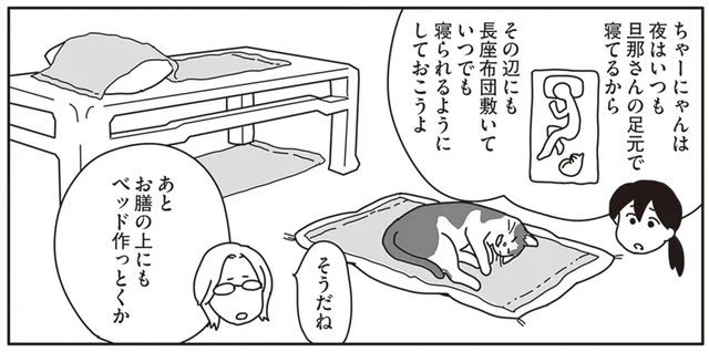 自宅で始まった看病。ガンに侵された猫が居心地よく過ごせる空間を／世界一幸せな飼い主にしてくれた猫（14）