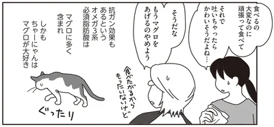 飼い猫の食事に試行錯誤