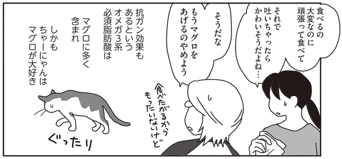 飼い猫の食事に試行錯誤