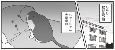 口から大量出血