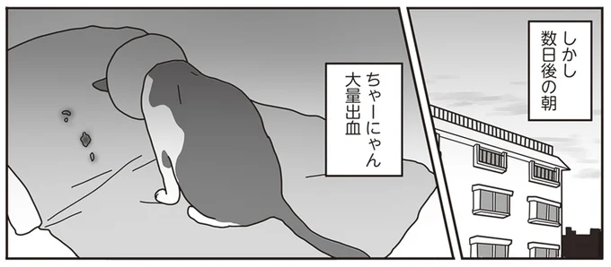 口から大量出血
