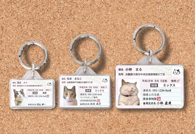 ついに猫にまでマイナンバー Idカードがあれば愛猫が迷子になっても安心ニャー 画像3 3 レタスクラブ