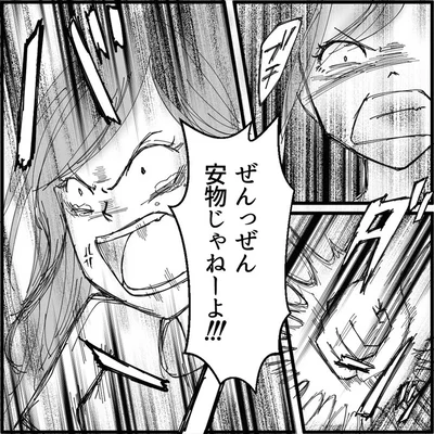 ぜんっぜん安物じゃねーよ！！！