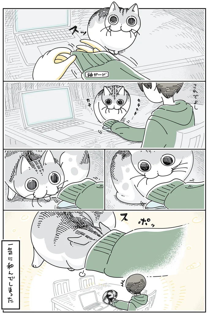 『夜は猫といっしょ5』より