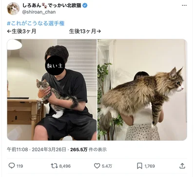 驚くほどの成長ぶりです！▶次はとっても甘えん坊なしろあんちゃんの写真（⇒次へ）