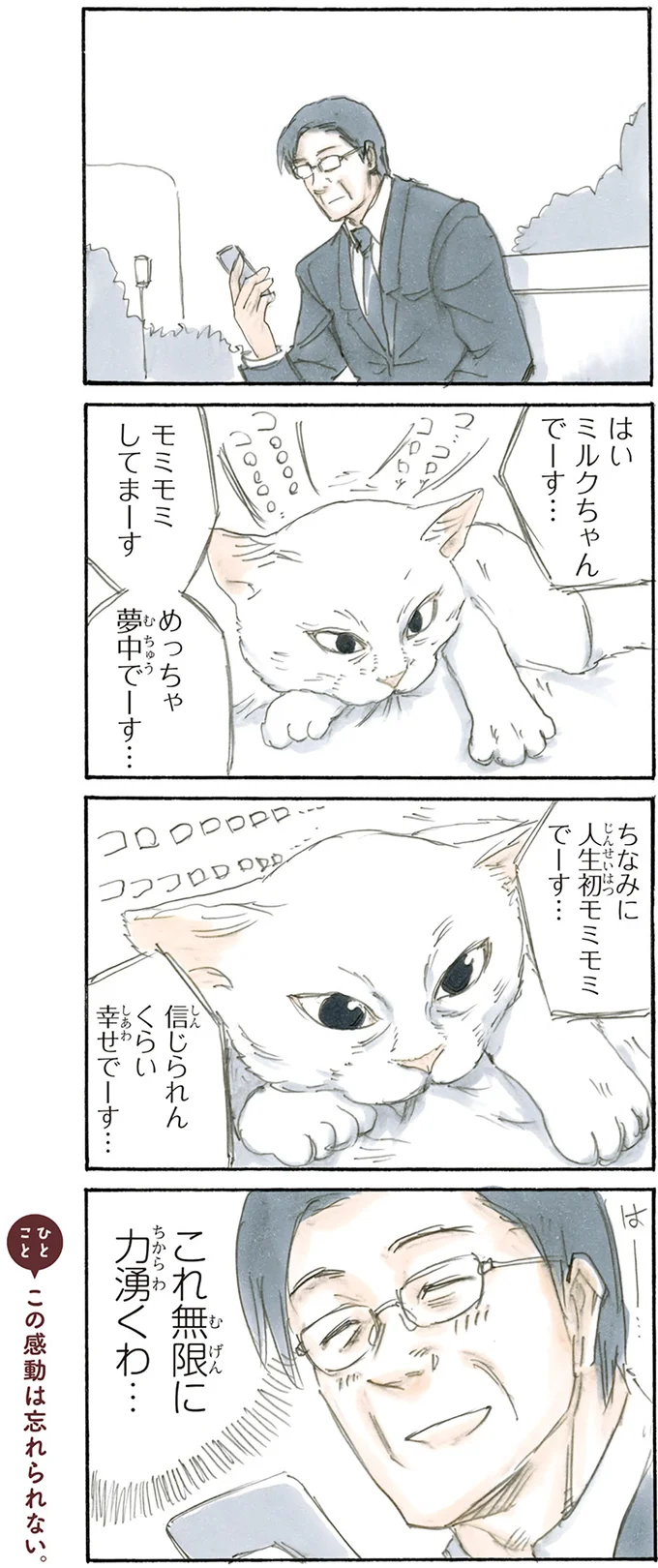 初モミモミ