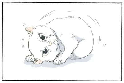 拾い猫の動きから目が離せず