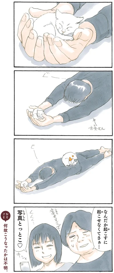 起こせない