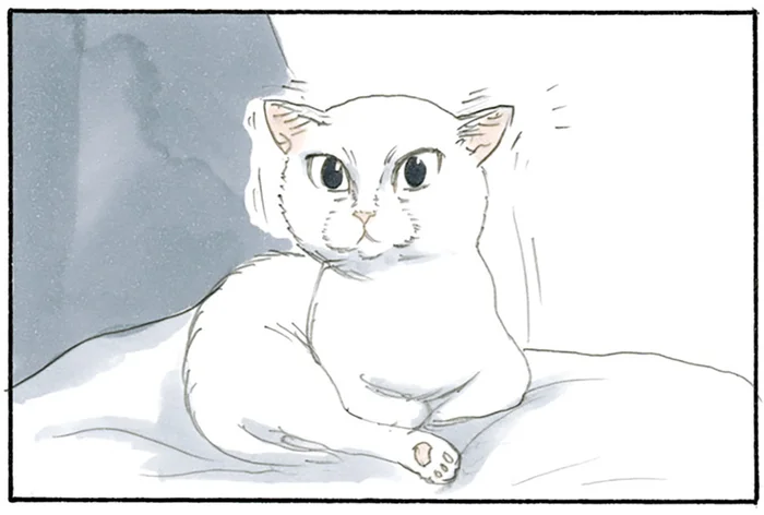 物音に子猫が反応！ お父さんが帰って来るのを全力でお迎えに行きました／拾い猫のモチャ2（4）
