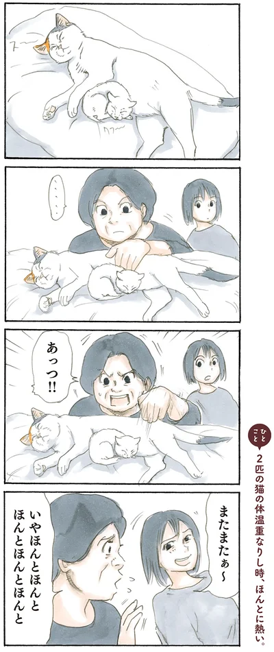 あつあつ