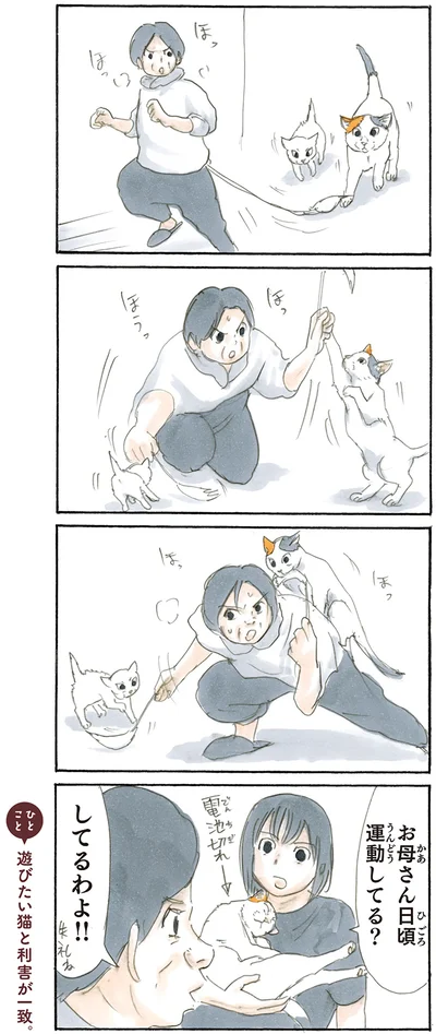 日頃の運動