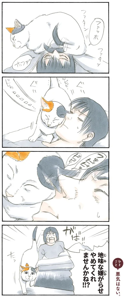 嫌がらせ