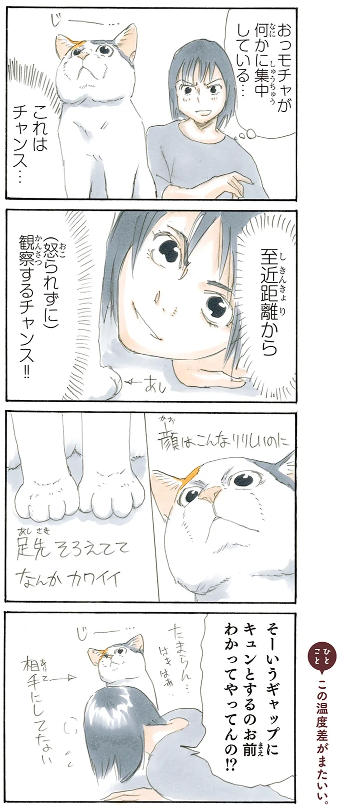 観察するチャンス