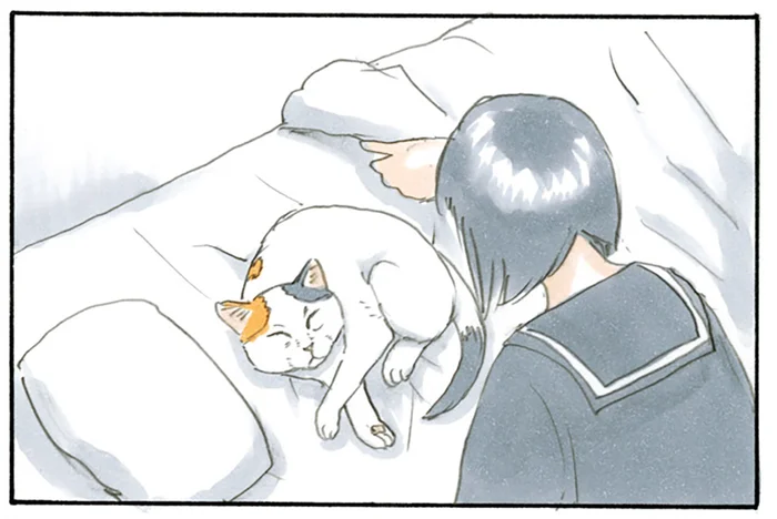 もはや言葉はいりません。布団をどかしたら現れる猫のお腹に顔を沈める喜び／拾い猫のモチャ2（8）