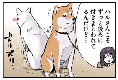 ずっと後ろに付きまとわれてるんだけど…