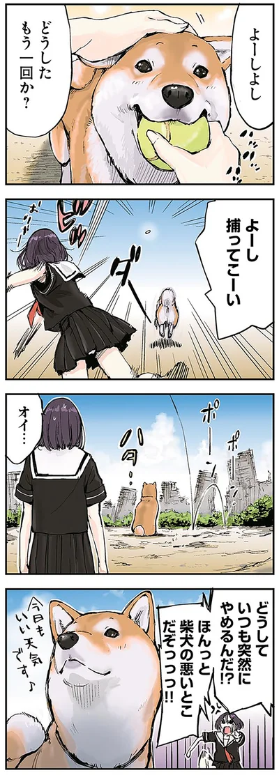 よーし　捕ってこーい