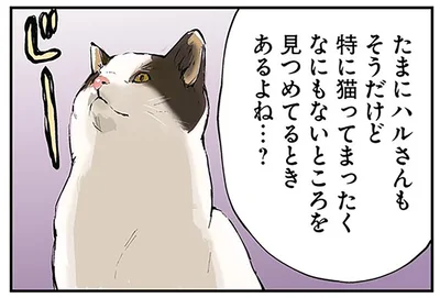 なにもないところを見つめてるときあるよね…？