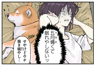 五月蠅くて眠れやしないッ