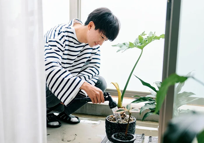 【観葉植物男子が教える】植物の世話は朝だけ！ 会社員だからこそのルーティン