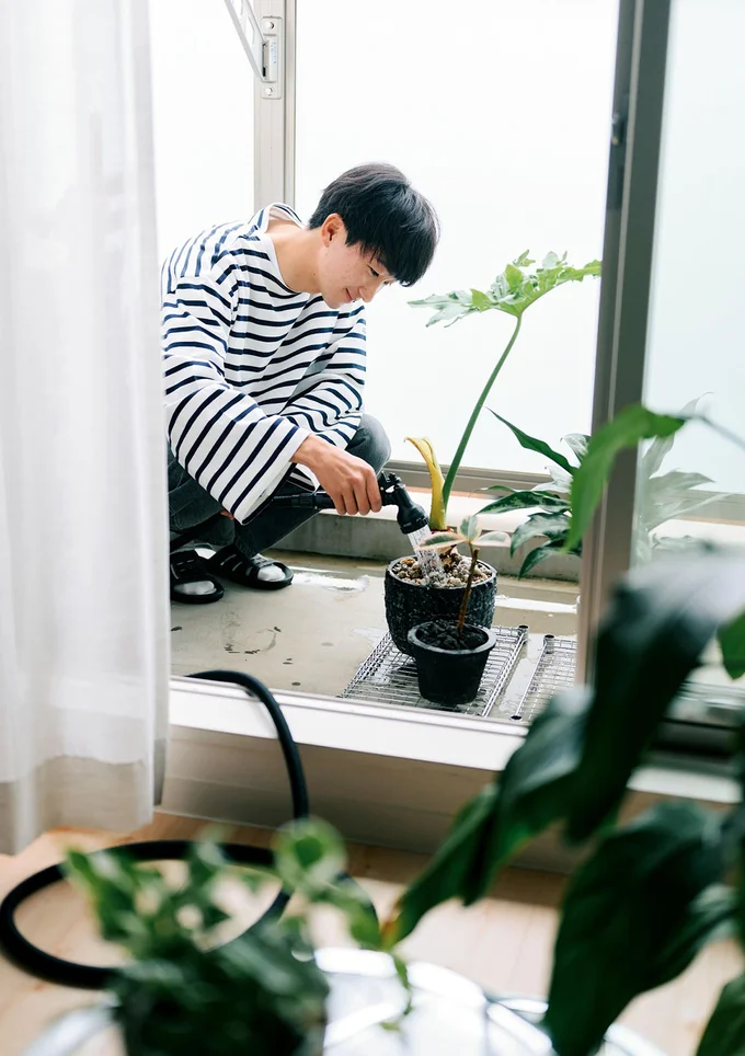 植物の世話は朝、出勤前だけと決めている