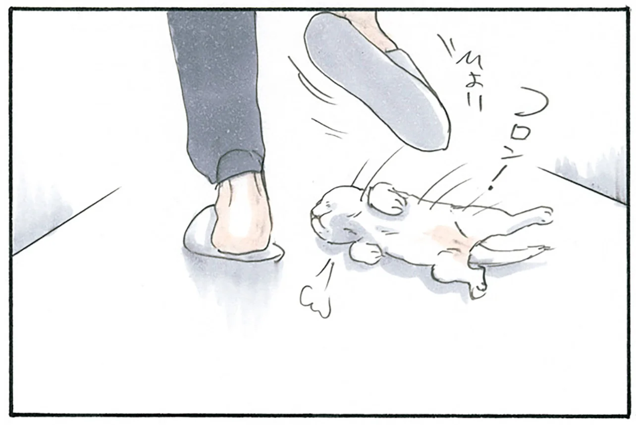 足元に来ても絶対に踏みません！ 子猫にまとわりつかれるお父さんの