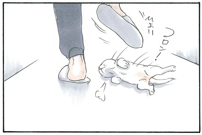 足元に来ても絶対に踏みません！ 子猫にまとわりつかれるお父さんの器用さ／拾い猫のモチャ3（2）