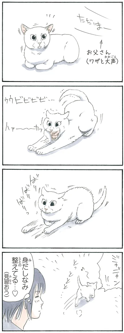 整える