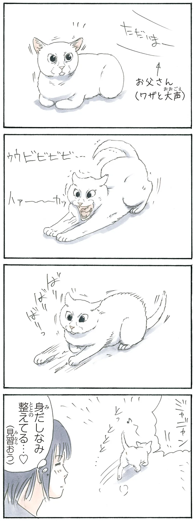 整える