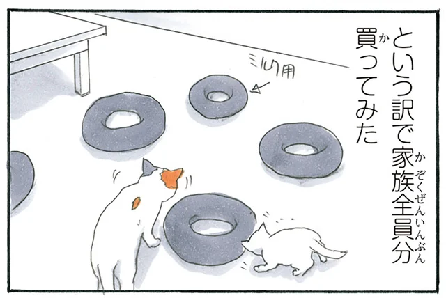飽きたの!? 猫たちが気に入っているクッションを全員分買ってみたら／拾い猫のモチャ3（3）