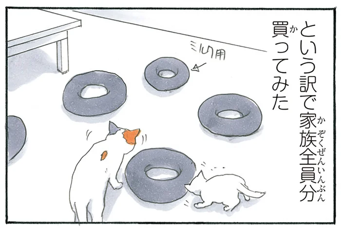 飽きたの!? 猫たちが気に入っているクッションを全員分買ってみたら／拾い猫のモチャ3（3）