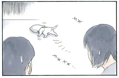 カサカサ…カサ…