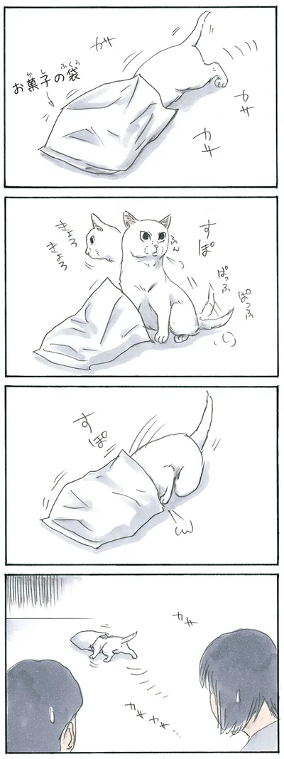 謎行動